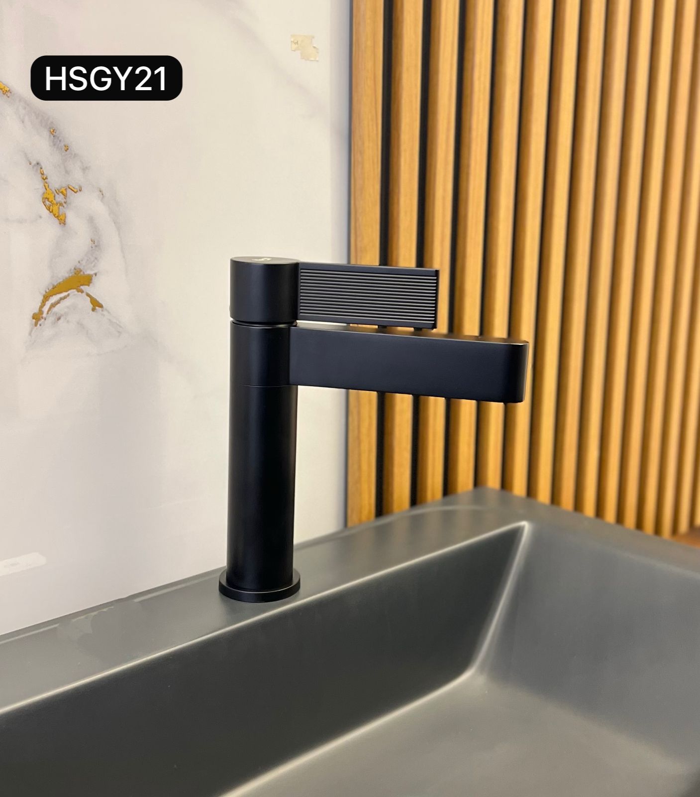 HSGY21