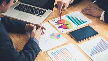 Project Consultation
